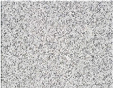 Шандун Сезам Уайт (Shandong Sesame White) LM-S5817